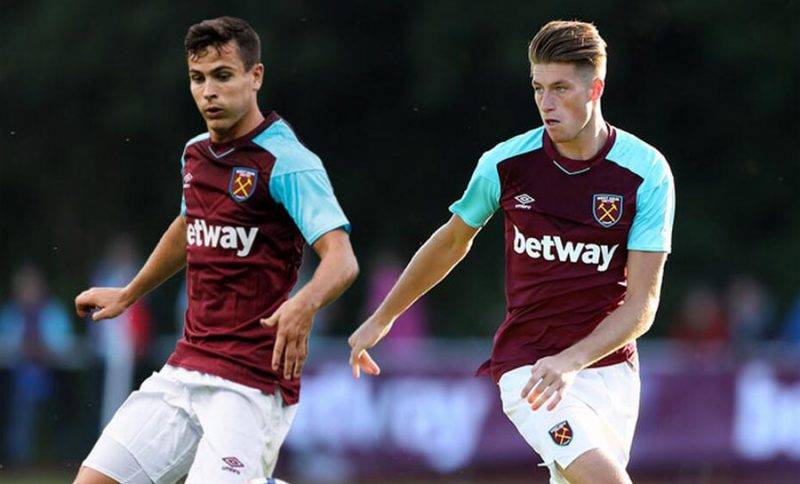 大洋洲雄獅 大洋洲雄獅